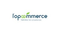 Accueil - Icci Formations Réunion 34 LOP Commerce Reunion