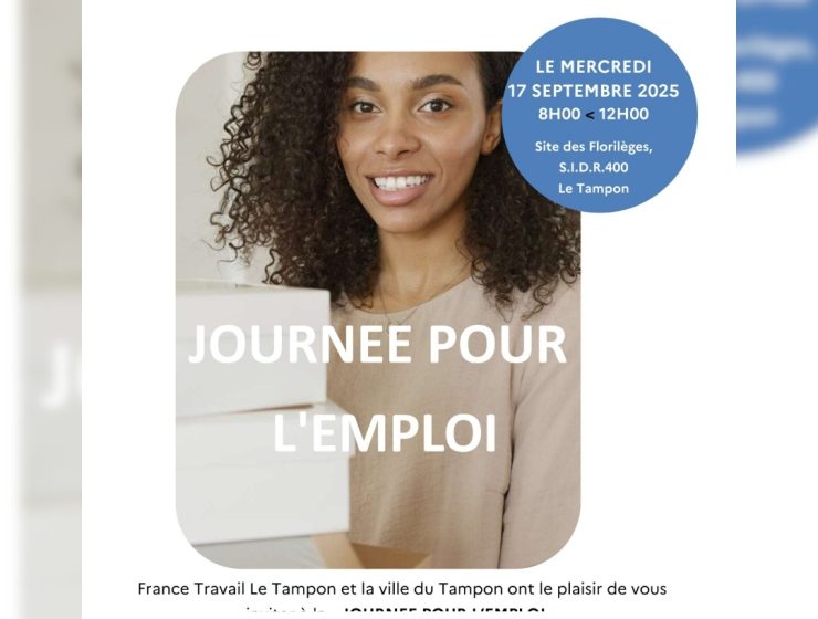 Journée pour l'Emploi 💼 20 post avec nouveau format instagram